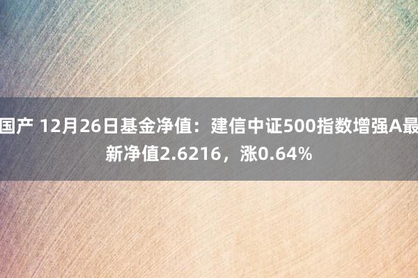 国产 12月26日基金净值：建信中证500指数增强A最新净值