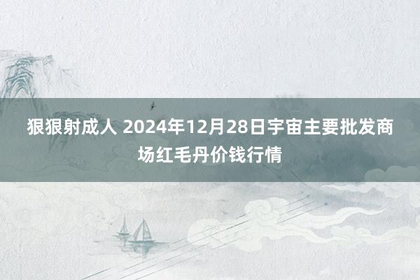 狠狠射成人 2024年12月28日宇宙主要批发商场红毛丹价钱行情