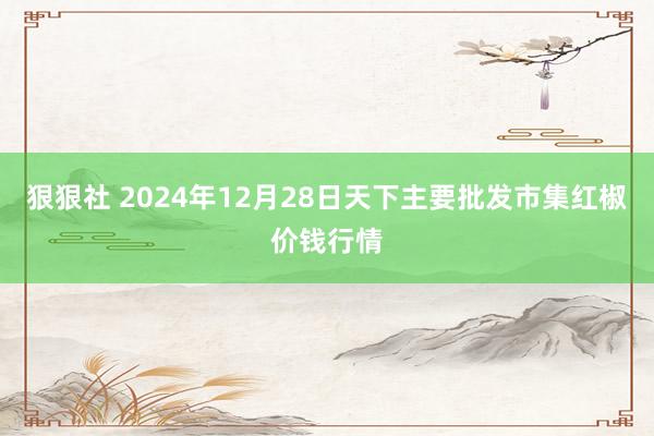 狠狠社 2024年12月28日天下主要批发市集红椒价钱行情