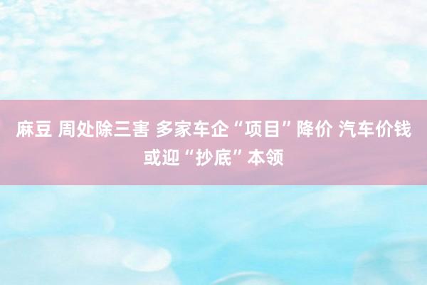 麻豆 周处除三害 多家车企“项目”降价 汽车价钱或迎“抄底”本领