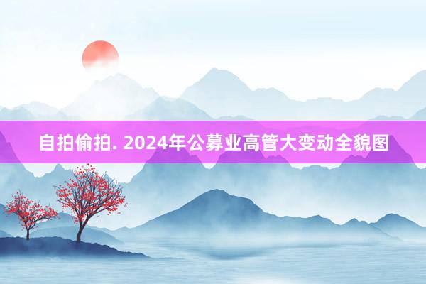 自拍偷拍. 2024年公募业高管大变动全貌图