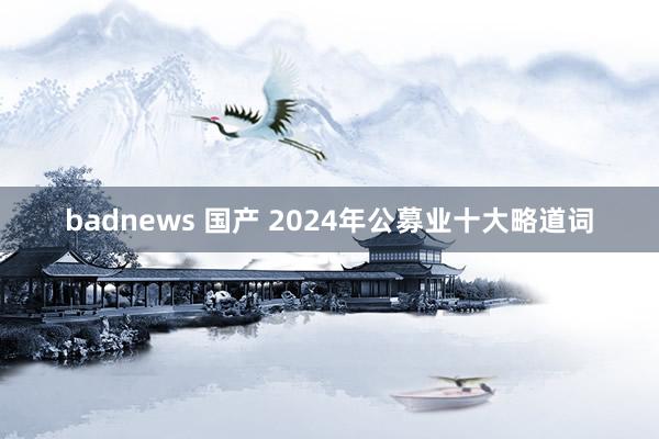 badnews 国产 2024年公募业十大略道词