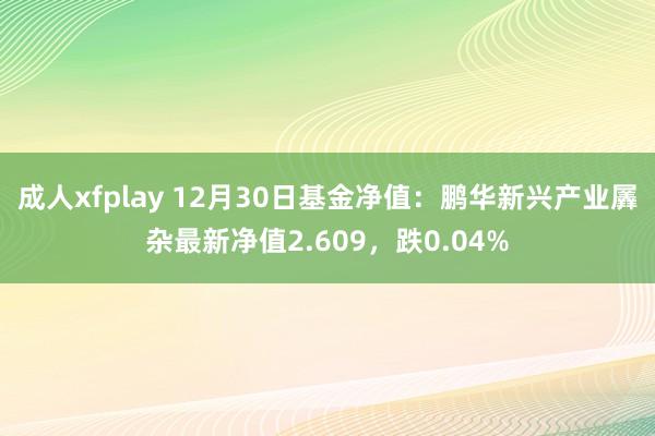 成人xfplay 12月30日基金净值：鹏华新兴产业羼杂最新净值2.609，跌0.04%