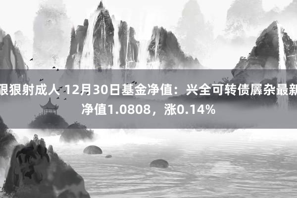 狠狠射成人 12月30日基金净值：兴全可转债羼杂最新净值1.