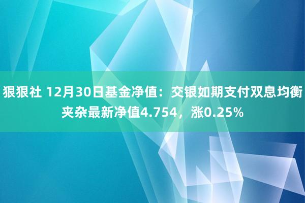 狠狠社 12月30日基金净值：交银如期支付双息均衡夹杂最新净