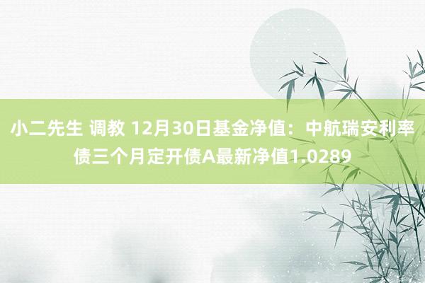 小二先生 调教 12月30日基金净值：中航瑞安利率债三个月定