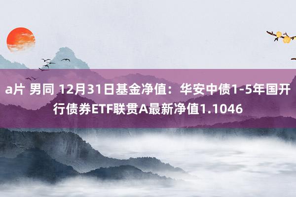 a片 男同 12月31日基金净值：华安中债1-5年国开行债券ETF联贯A最新净值1.1046