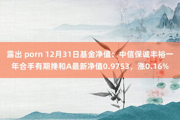 露出 porn 12月31日基金净值：中信保诚丰裕一年合手有期搀和A最新净值0.9753，涨0.16%