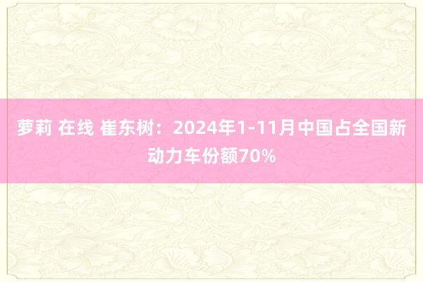 萝莉 在线 崔东树：2024年1-11月中国占全国新动力车份