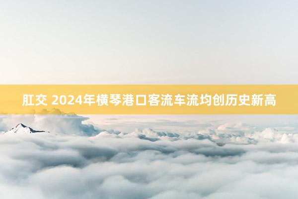 肛交 2024年横琴港口客流车流均创历史新高