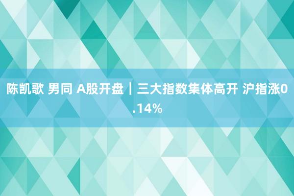 陈凯歌 男同 A股开盘｜三大指数集体高开 沪指涨0.14%