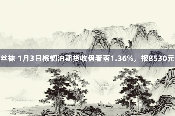 丝袜 1月3日棕榈油期货收盘着落1.36%，报8530元