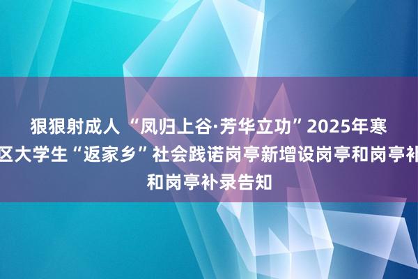 狠狠射成人 “凤归上谷·芳华立功”2025年寒假宣化区大学生