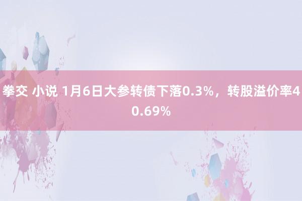 拳交 小说 1月6日大参转债下落0.3%，转股溢价率40.6