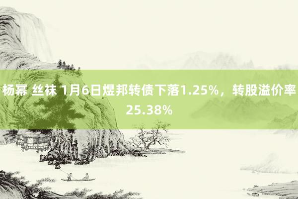 杨幂 丝袜 1月6日煜邦转债下落1.25%，转股溢价率25.