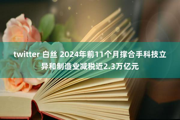 twitter 白丝 2024年前11个月撑合手科技立异和制