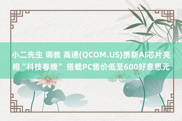 小二先生 调教 高通(QCOM.US)携新AI芯片亮相“科技