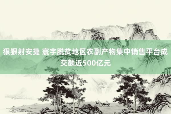 狠狠射安捷 寰宇脱贫地区农副产物集中销售平台成交额近500亿