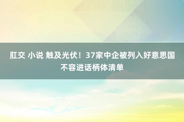 肛交 小说 触及光伏！37家中企被列入好意思国不容进话柄体清