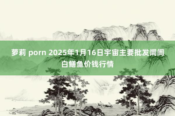 萝莉 porn 2025年1月16日宇宙主要批发阛阓白鳝鱼价