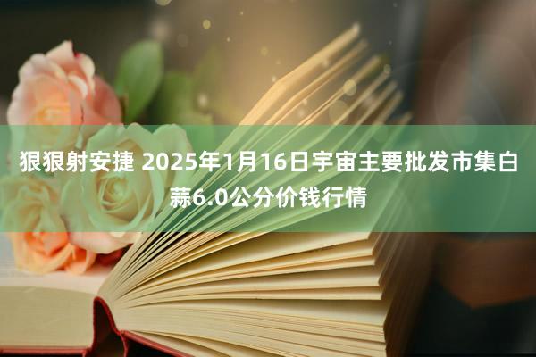 狠狠射安捷 2025年1月16日宇宙主要批发市集白蒜6.0公分价钱行情