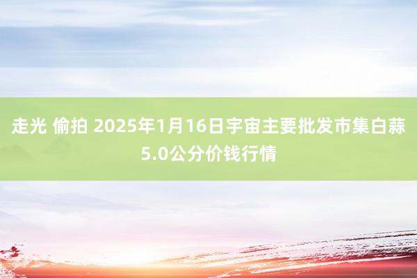 走光 偷拍 2025年1月16日宇宙主要批发市集白蒜5.0公