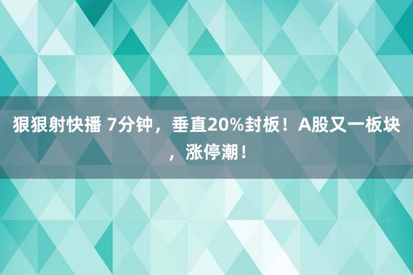 狠狠射快播 7分钟，垂直20%封板！A股又一板块，涨停潮！