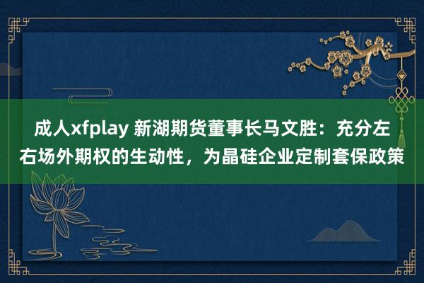 成人xfplay 新湖期货董事长马文胜：充分左右场外期权的生动性，为晶硅企业定制套保政策