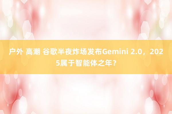 户外 高潮 谷歌半夜炸场发布Gemini 2.0，2025属于智能体之年？